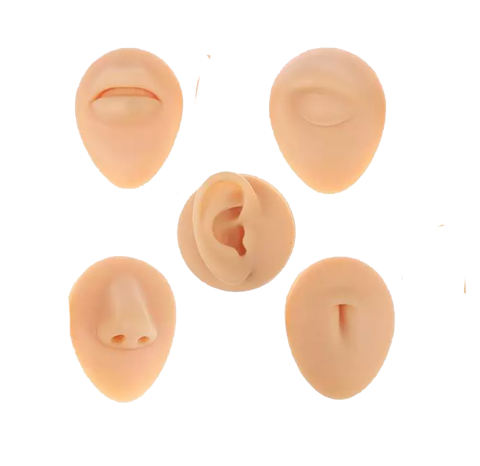 Body Piercing Course
